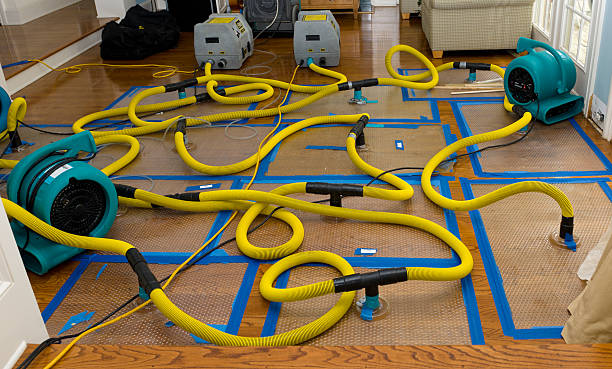 Professional Emergency Water Removal technician working in Hughesville, MO